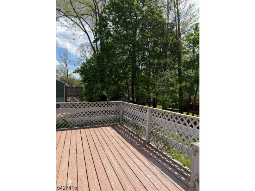 Welcome to this spacious four-bedroom ranch nestled in the - photo 19