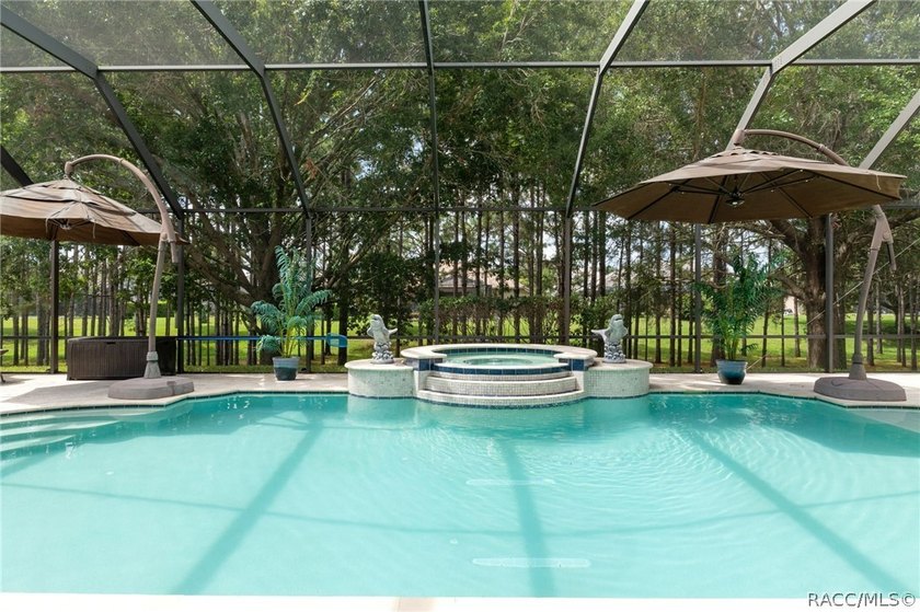**4 -Bed, 4 -Bath Luxury Estate with added Casita and pool in - photo 8