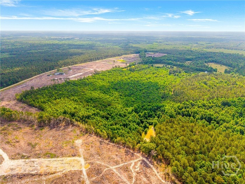 Looking for your own private hunting retreat? Come see this - photo 8