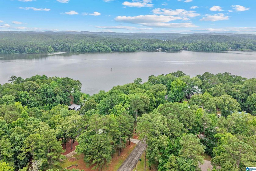 Big Price Improvement. Now is the time to start Lake Living!! - photo 29