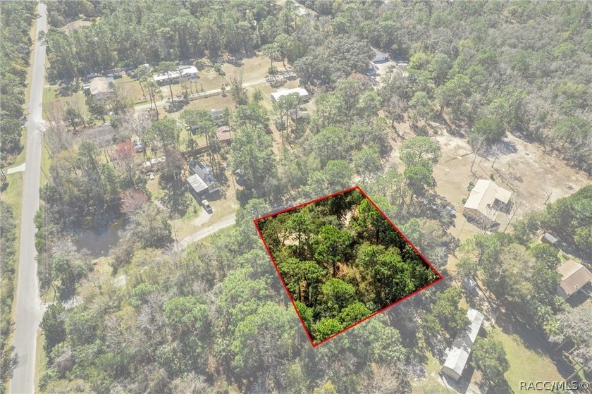 Build Your Dream Home on Over Half an Acre! This beautiful - photo 14