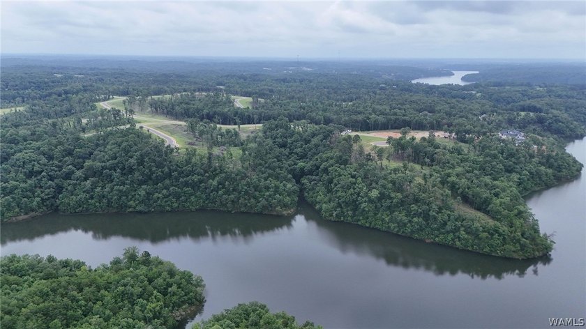 Introducing Emeralds Edge-Tuscaloosa's newest premier lakefront - photo 11
