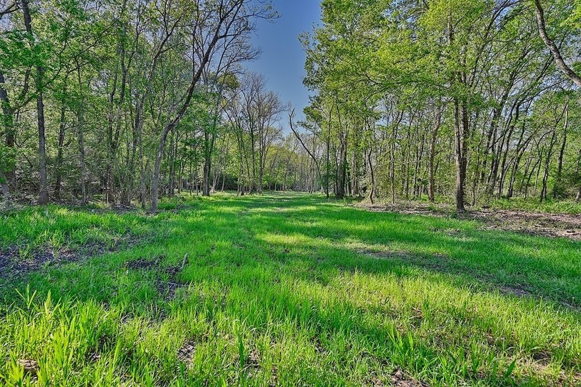 +/-325 acres with approximately 1 mile of frontage on Lake - photo 5