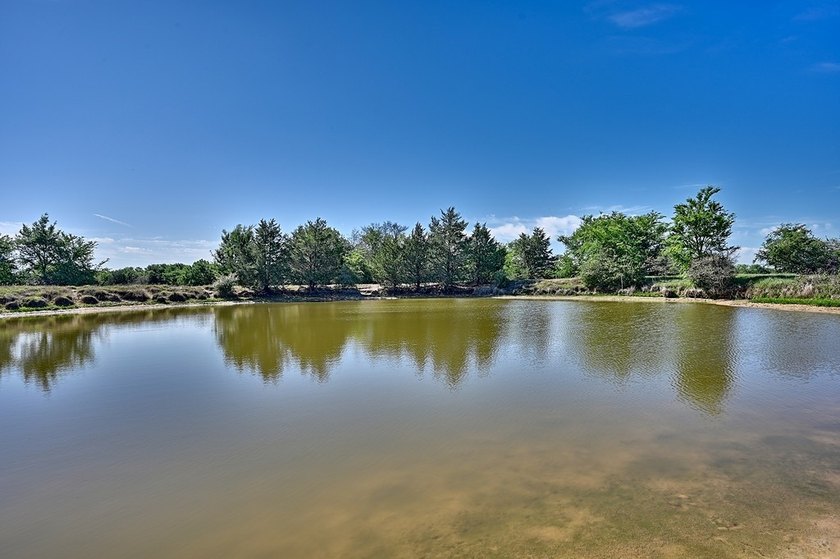 +/-325 acres with approximately 1 mile of frontage on Lake - photo 10