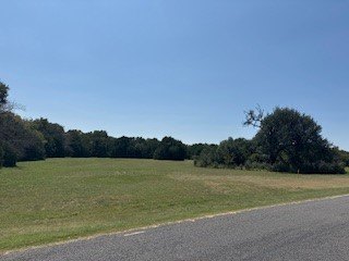 White Bluff is the place to be. This is a great corner lot - photo 2