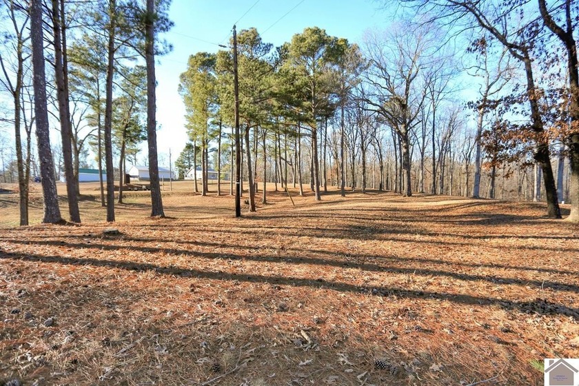4.89 BEAUTIFUL ROLLING ACRES! WATER VIEWS YR ROUND, 2,000 FT TO - photo 36