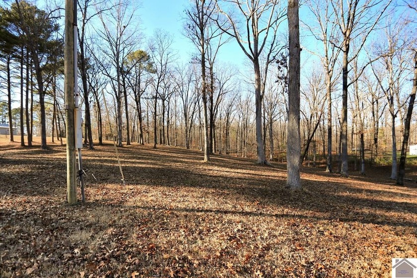 4.89 BEAUTIFUL ROLLING ACRES! WATER VIEWS YR ROUND, 2,000 FT TO - photo 39