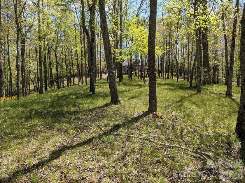 3.13 acres. 773 feet of stream frontage. Steps from the wellness - photo 2