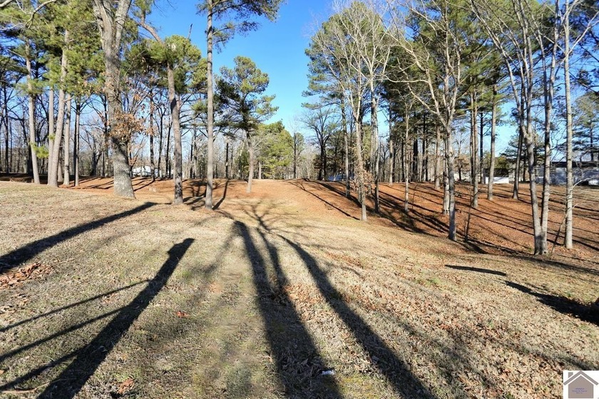 4.89 BEAUTIFUL ROLLING ACRES! WATER VIEWS YR ROUND, 2,000 FT TO - photo 42