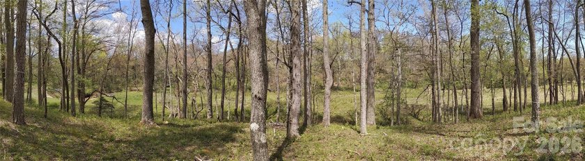 3.13 acres. 773 feet of stream frontage. Steps from the wellness - photo 3