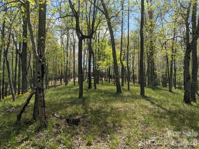 3.13 acres. 773 feet of stream frontage. Steps from the wellness - photo 4