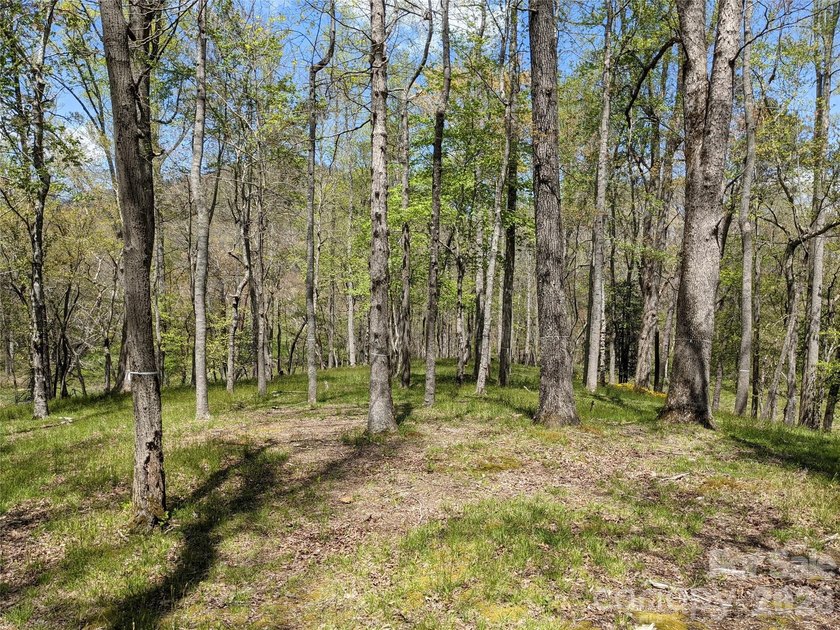 3.13 acres. 773 feet of stream frontage. Steps from the wellness - photo 5