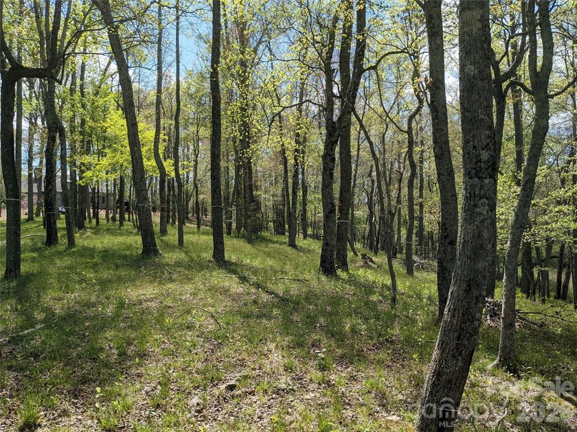 3.13 acres. 773 feet of stream frontage. Steps from the wellness - photo 6