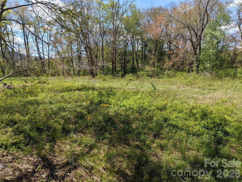 3.13 acres. 773 feet of stream frontage. Steps from the wellness - photo 10