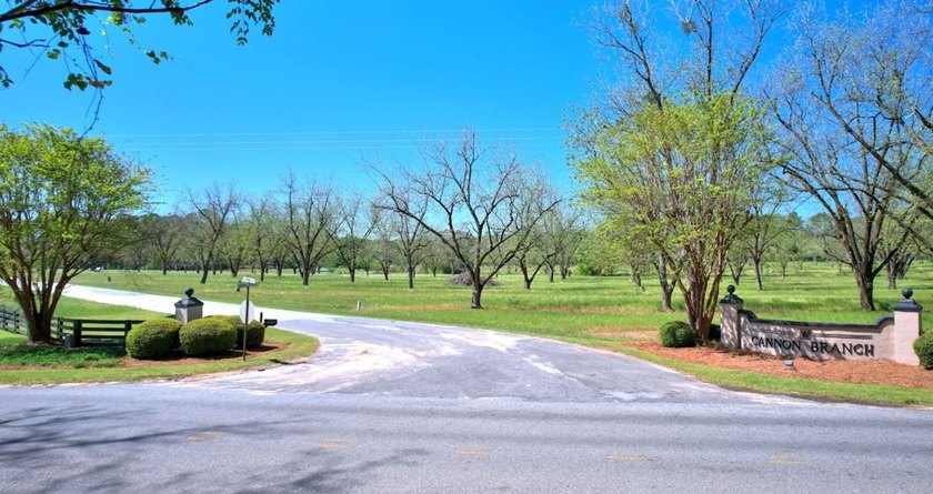 Wonderful Lake Views!!! PRIME LOT!!! Per Restrictive Covenants - photo 2