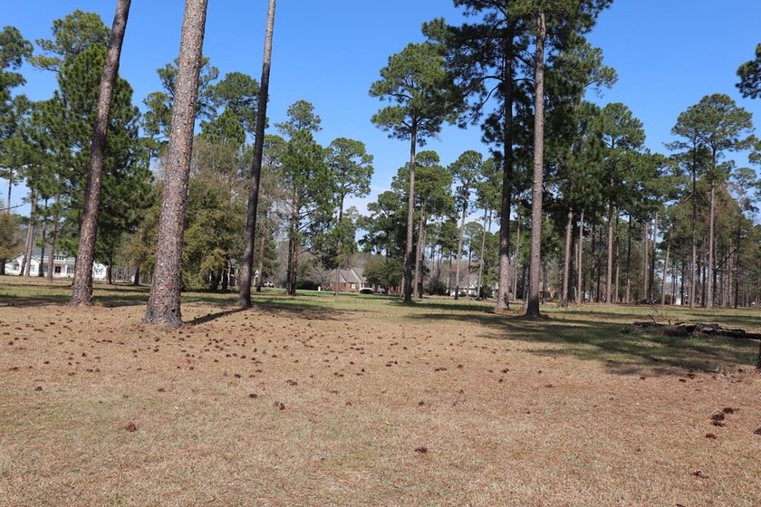 Wonderful Lake Views!!! PRIME LOT!!! Per Restrictive Covenants - photo 10