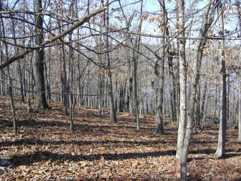 Diamond Lake lot with 224 feet of lake frontage, with a great - photo 11