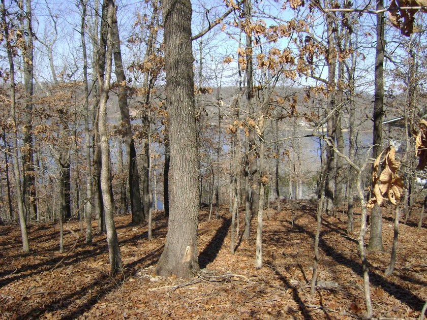 Diamond Lake lot with 224 feet of lake frontage, with a great - photo 12