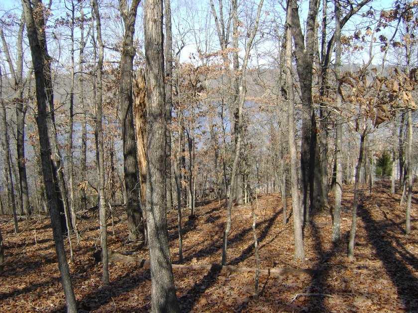 Diamond Lake lot with 224 feet of lake frontage, with a great - photo 13