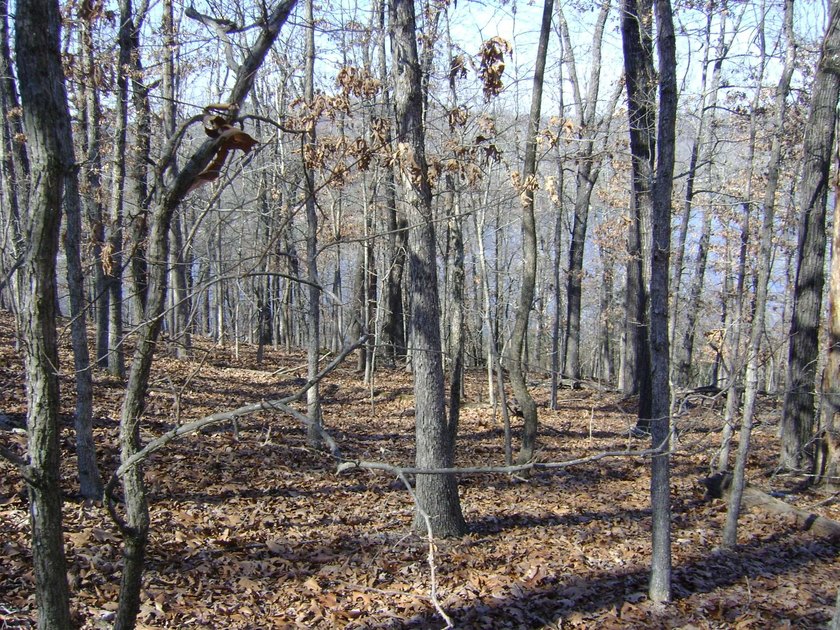 Diamond Lake lot with 224 feet of lake frontage, with a great - photo 14