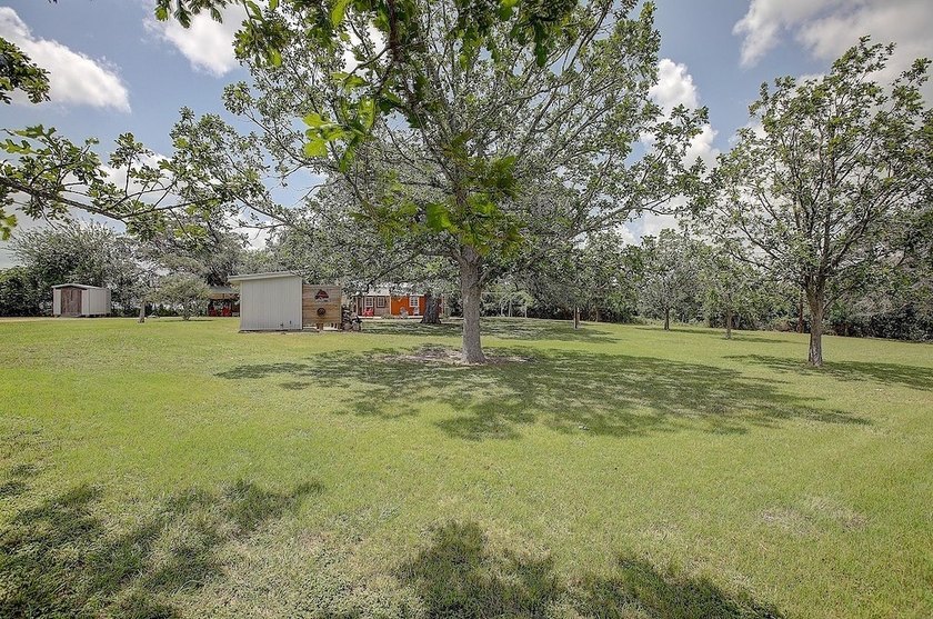 Surrounded by large acreage, this L-shaped Ag Exempt acreage - photo 4