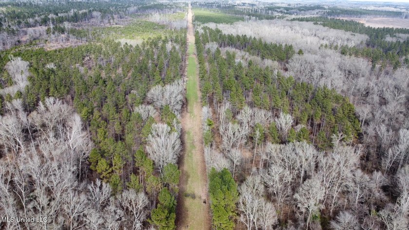 +/- 255 acres hunting and timberland property located in the Dry - photo 12
