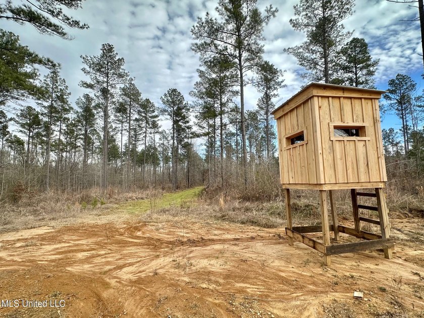 +/- 255 acres hunting and timberland property located in the Dry - photo 14