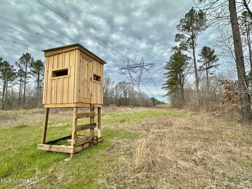 +/- 255 acres hunting and timberland property located in the Dry - photo 18