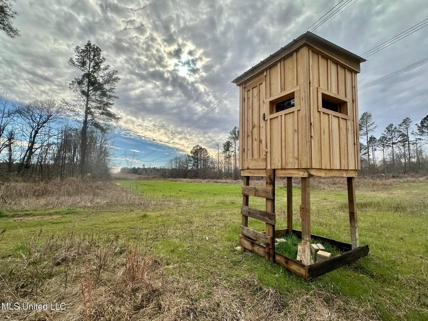 +/- 255 acres hunting and timberland property located in the Dry - photo 19