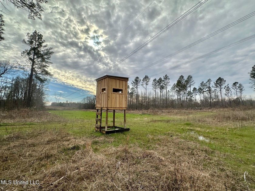 +/- 255 acres hunting and timberland property located in the Dry - photo 20