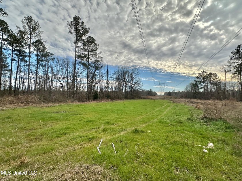 +/- 255 acres hunting and timberland property located in the Dry - photo 21
