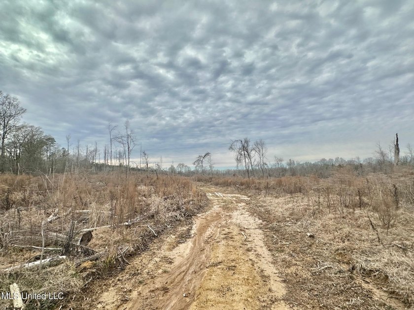 +/- 255 acres hunting and timberland property located in the Dry - photo 23