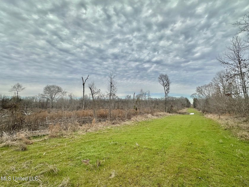 +/- 255 acres hunting and timberland property located in the Dry - photo 24