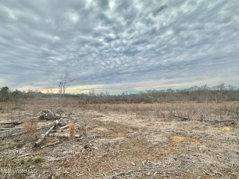 +/- 255 acres hunting and timberland property located in the Dry - photo 28