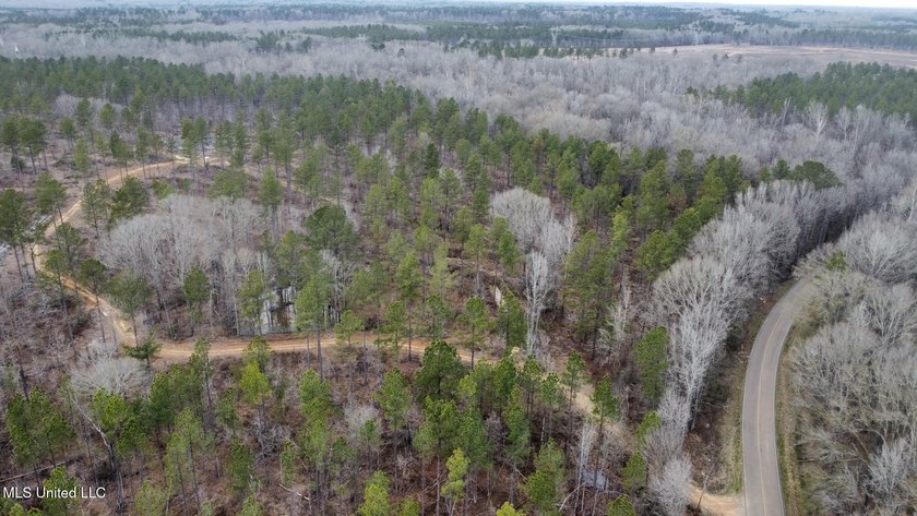 +/- 255 acres hunting and timberland property located in the Dry - photo 34