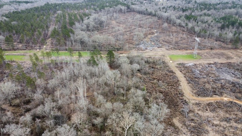 +/- 255 acres hunting and timberland property located in the Dry - photo 40
