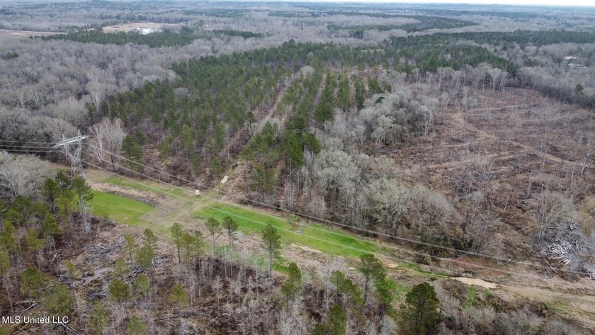 +/- 255 acres hunting and timberland property located in the Dry - photo 41