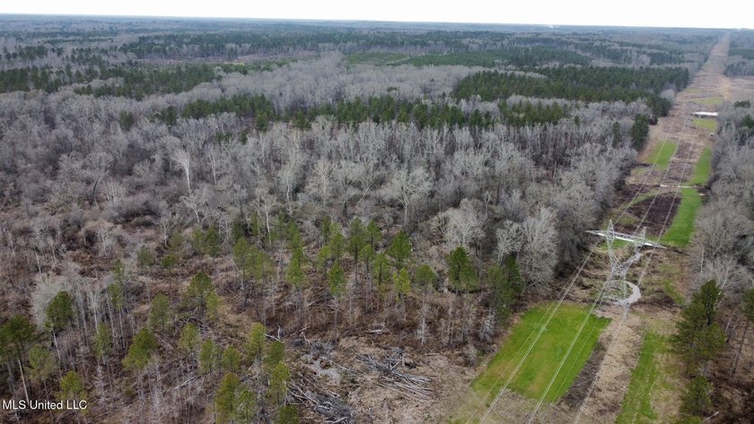 +/- 255 acres hunting and timberland property located in the Dry - photo 42
