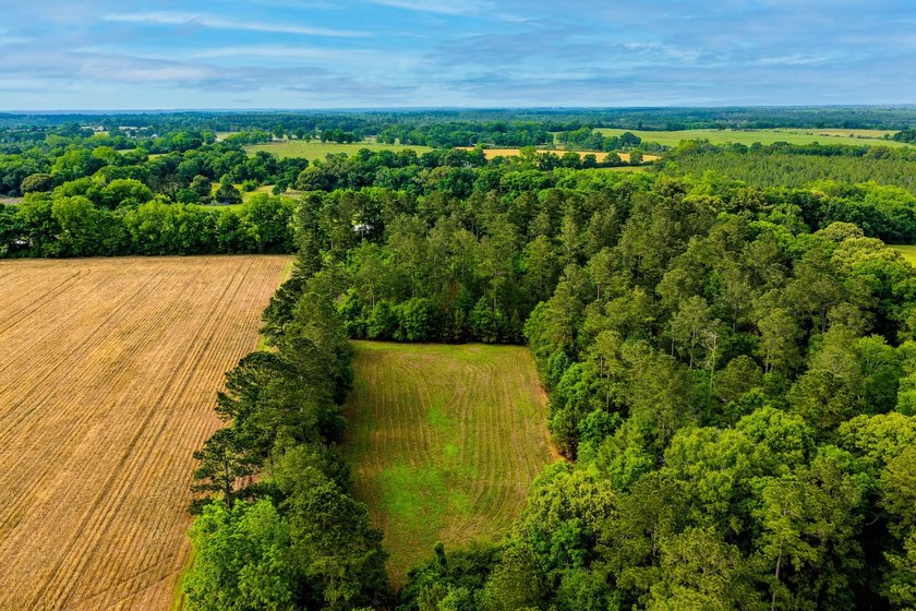 Situated along approximately 0.65 miles of Highway 331 frontage - photo 44