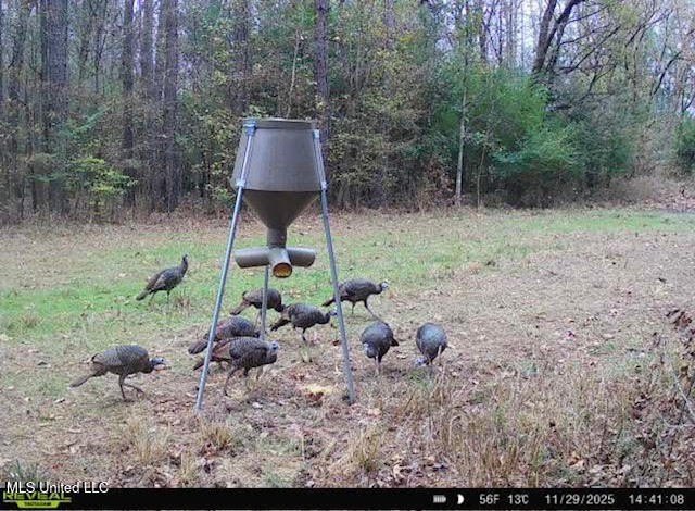 +/- 255 acres hunting and timberland property located in the Dry - photo 45