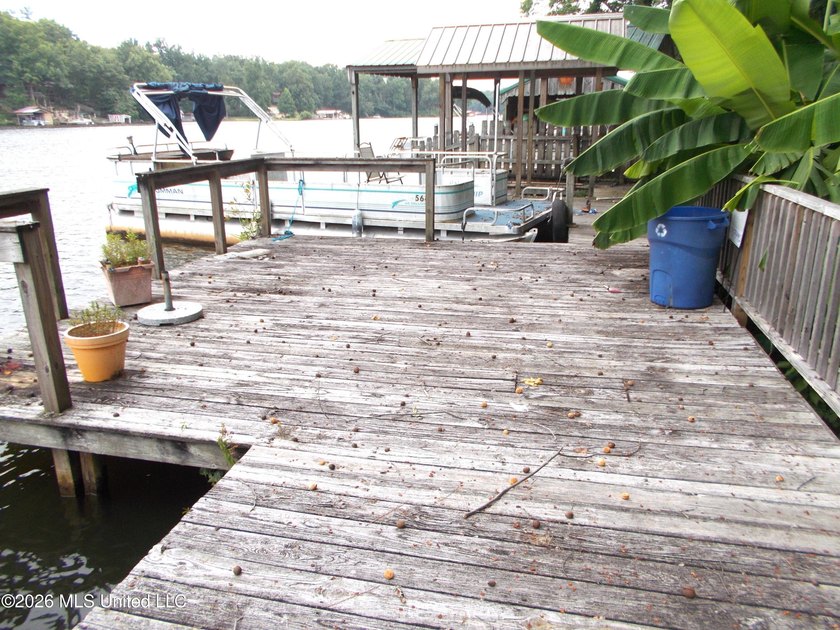 Lakefront Opportunity on Snow Lake - Endless Potential! Bring - photo 4