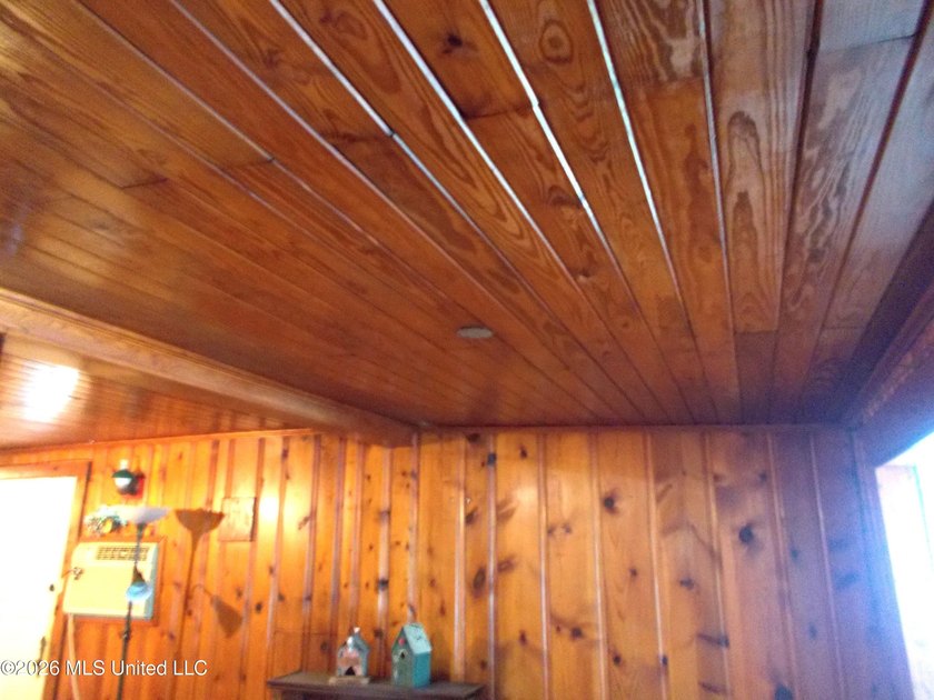 Lakefront Opportunity on Snow Lake - Endless Potential! Bring - photo 10