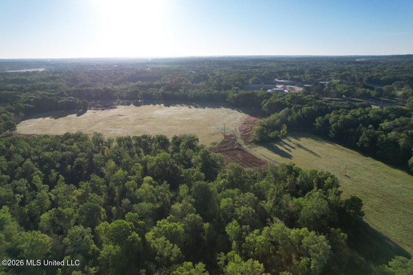 White Oak 266 is a 266+/- acre tract in Hinds County right on - photo 11