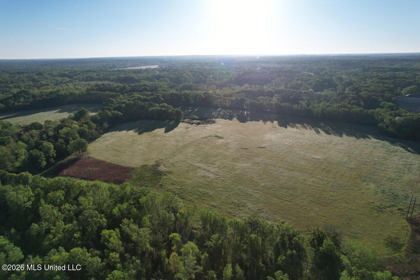 White Oak 266 is a 266+/- acre tract in Hinds County right on - photo 12