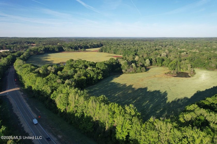 White Oak 266 is a 266+/- acre tract in Hinds County right on - photo 13