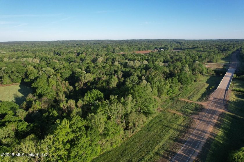 White Oak 266 is a 266+/- acre tract in Hinds County right on - photo 14