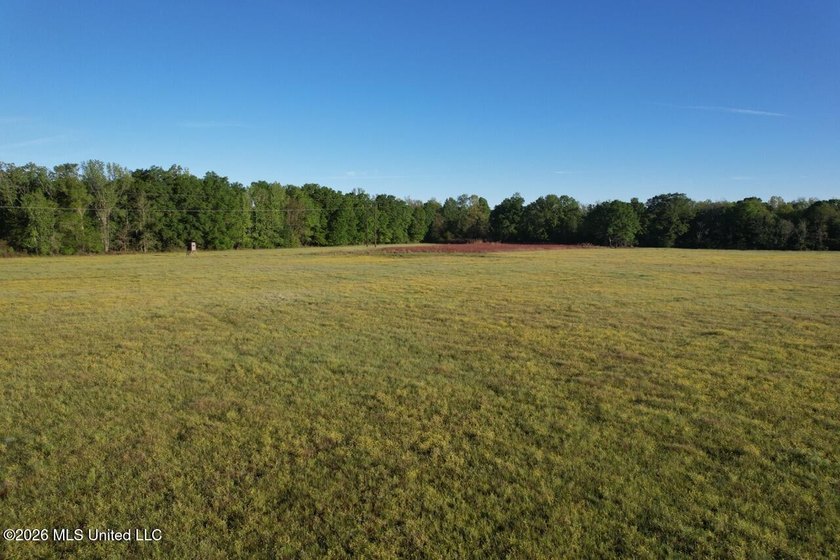 White Oak 266 is a 266+/- acre tract in Hinds County right on - photo 17