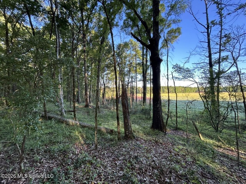 White Oak 266 is a 266+/- acre tract in Hinds County right on - photo 21