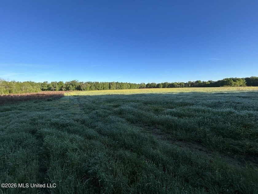 White Oak 266 is a 266+/- acre tract in Hinds County right on - photo 22