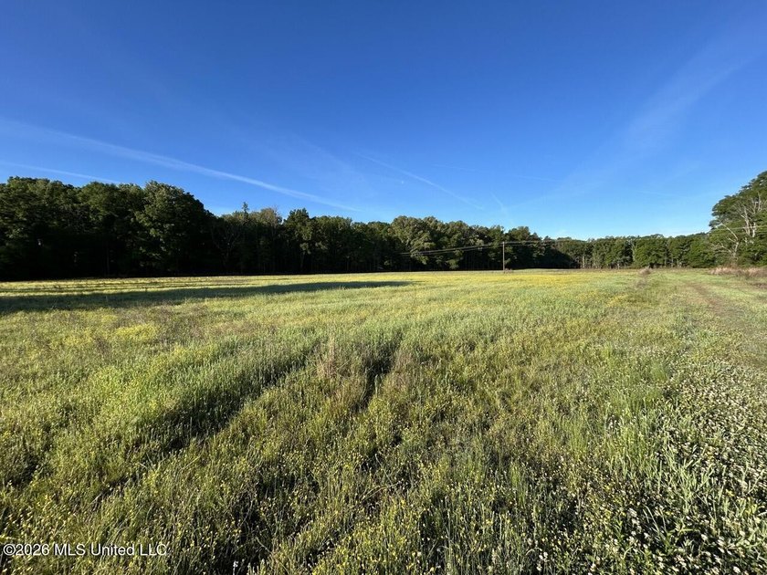 White Oak 266 is a 266+/- acre tract in Hinds County right on - photo 23
